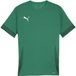 PUMA teamGOAL Matchday Jersey Heren Sportshirt - Groen/Wit
