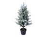 Everlands Allison mini boom d40h60 cm groen/wit