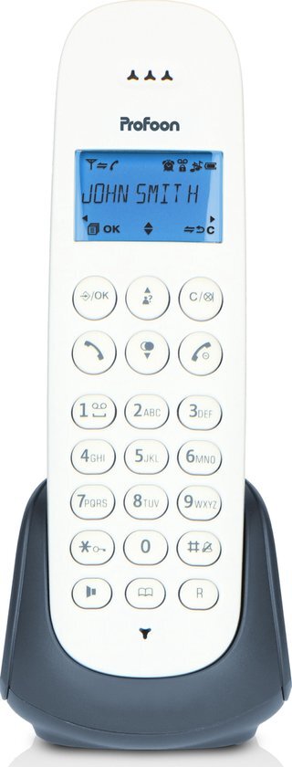 Profoon DECT telefoon PDX-300AE