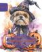 Shih Tzu: Libro para colorear para amantes de los perros - Edición de otoño