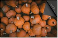 Dietrix Inductie Beschermer 60x60 - Herfst Oranje Kalebassen