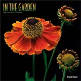 In Brush Dance In the Garden 2027 12 X 24 Inch (Hanging) Monthly Square Wall Calendar Plastic-Free