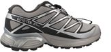 Salomon XT Pathway GTX Argent 42 2/3 EU