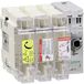 Schneider Electric Interrupteur basse tension GS2G3, TeSys GS - 941067 - Protection contre les surtensions