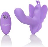 Calexotics Scala Butterfly Remote Rocking Penis Paars