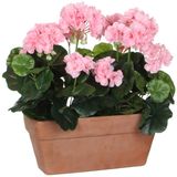 Mica Decorations Geranium Kunstplant in Balkonbak - L29 x B13 x H40 cm - Roze