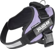 Julius-K9 IDC®Powertuig, M - maat 0, paars