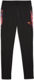 Puma Individualcup Trainingsbroek Zwart XL