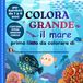 COLORA GRANDE IL MARE: "Piccoli esploratori in spiaggia: prime parole e disegni da colorare per bimbi da 1 a 4 anni"