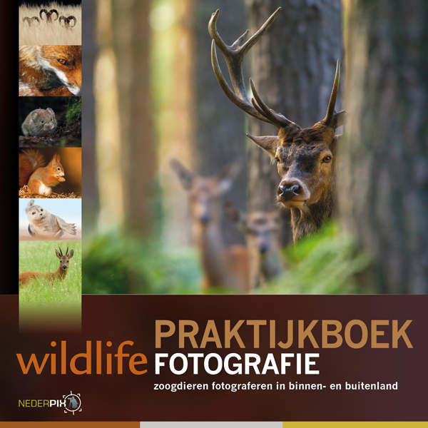 Birdpix Birdpix - Praktijkboek Wildlifefotografie