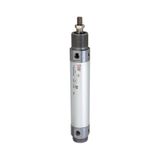 Riegler 2.DM.50160 ronde cilinder, dubbelwerkend, magneet, zuiger-Ø 50, hub 160, G 1/4, 1 stuk