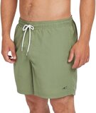O'Neill Vert 16 Zwemshort Heren - Maat S - Groen - Maat S
