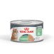 Royal Canin Digestive Care Mousse in Dose für erwachsene Katzen 85 g