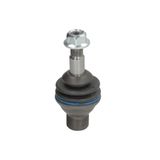 DELPHI Rotule pour BMW Série 5 Break (G31) TC4943