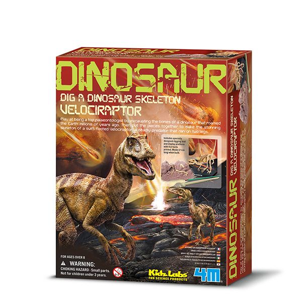 4M Velociraptor Skeleton - 68661