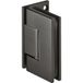 Häfele Charnière de porte de douche 90° H2047 laiton noir graphite