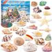 Merkloos / Sans marque Adventskalender 2025 - kerstmis cadeau - Schelpen - Zeester - Conchs - Strandthema Feest - Kerstmis aftellen - 24 verschillende kleuren/vormen - Huisdecoraties