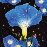 Nighttime Thrill Jockey Nighttime Birds And Morning Stars (Limited Edition)
