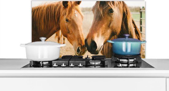 Spatscherm keuken 80x40 cm - Paard - Strand - Dieren - Aluminium