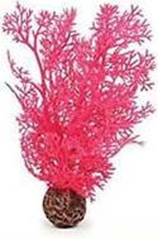 biOrb Hoornkoraal Roze - Klein