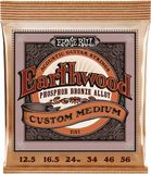 Ernie Ball 2143 Custom Medium Earthwood Phosphor Bronze Akoestische Gitaarsnaren