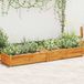 vidaXL - Jardinière - surélevée - 200x50x25 cm - bois d'acacia