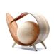 Ancient Wisdom Coconut Lamp-Natural Loop