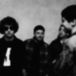 Bertus Distributie Snuts Burn the Empire