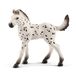 schleich 17076 Knabstrupper veulen, vanaf 5 jaar, Horse Club - speelfiguur, 3 x 9 x 8 cm