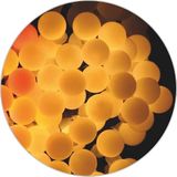 WatioWave Mini LED-lichtsnoer, 20 m, 3,6 W, hoogwaardig