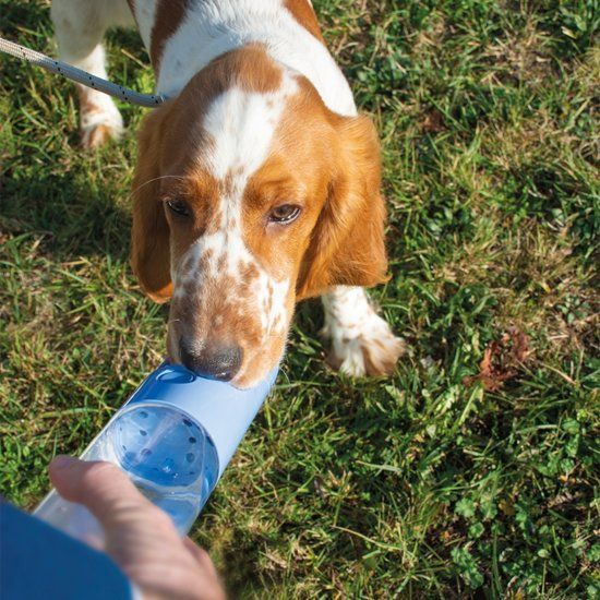 Duvo+ Drinkfles Hond Blauw 450ml
