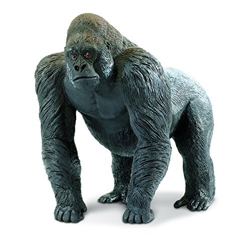 Safari 111589 - Gorilla