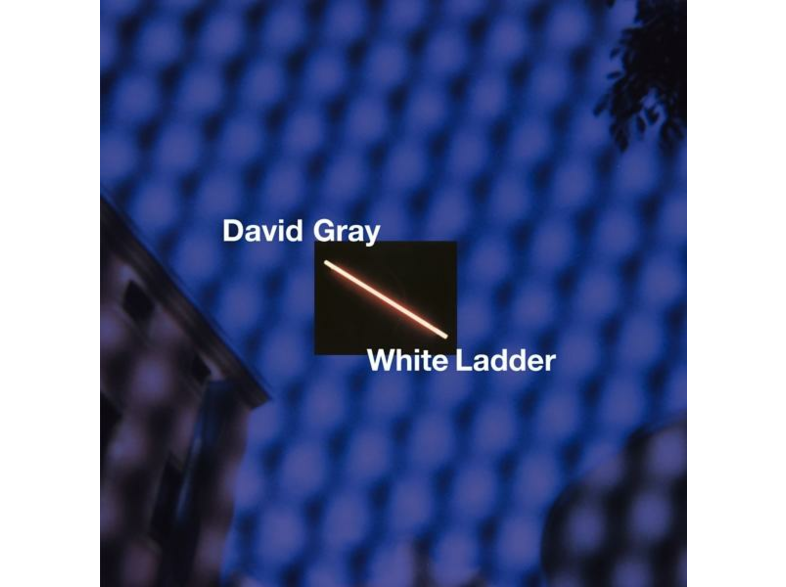 Gray, David White Ladder