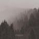 Withered An Autumn for Crippled Children Withered Dreams LP