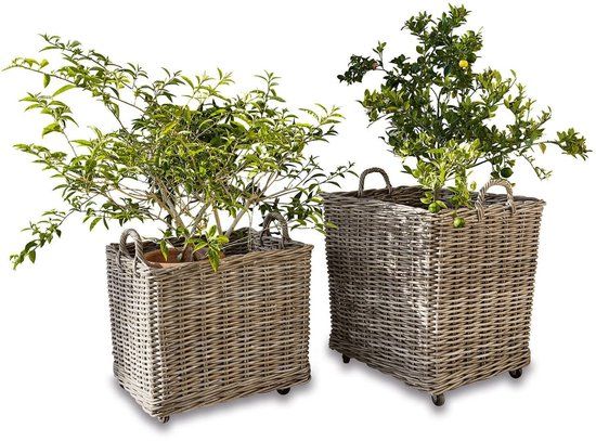 LOBERON Plantenmand set van 2 Gialousa bruin