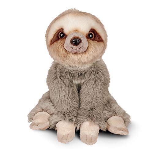 Animigos Pluche dier luiaard knuffeldier in realistisch design, knuffelig zacht, ca. 23 cm groot