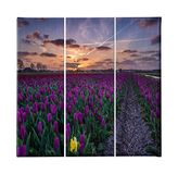 Homemania Afbeelding met bloemen, 3 stuks, natuur en landschappen per woonkamer, slaapkamer, meerkleurig, 69 x 3 x 50 cm, HM203PKNV-202, polyester, hout