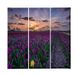 Homemania Afbeelding met bloemen, 3 stuks, natuur en landschappen per woonkamer, slaapkamer, meerkleurig, 69 x 3 x 50 cm, HM203PKNV-202, polyester, hout
