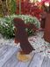 Edelrost lapin Rudi