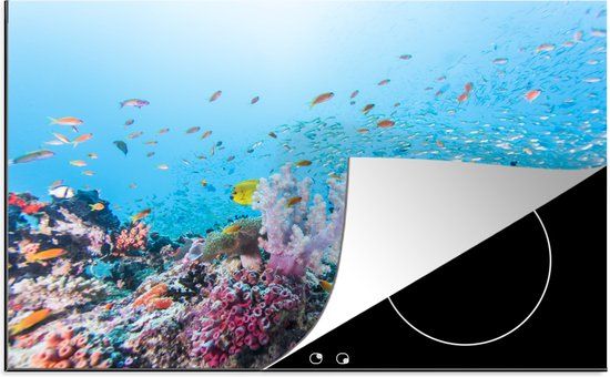 KitchenYeah® Inductie beschermer 77x51 cm - Vissen - Koraal - Multicolor