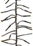 Lumineo LED Cluster-Lichterkette Außen 120 cm 144 Lämpchen Schwarz/Warmweiß