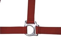 HKM Sports Equipment GmbH Halster -Stars Economy- rood Koudbloed paard