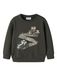 NAME IT - NMMLAVANDIN LS NREG SWEAT BRU Heren Trui