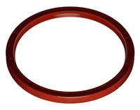 Oil seal