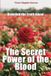 Menstruation: Independently Published Menstruation: Unveiled the Truth About: The Secret Power of the Blood Paperback
