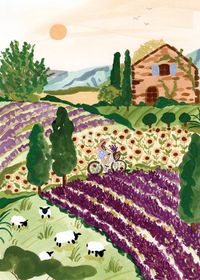 Pieces & Peace Puzzle Provence - 2000 pièces