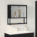vidaXL Spiegelkast Zwart Eiken 60 x 16 x 60 cm