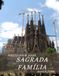 Sagrada Família: A Collection of 40 High-Quality Photographs
