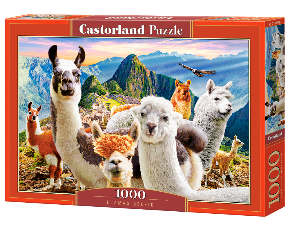 Castor Llamas Selfie - 1000pcs