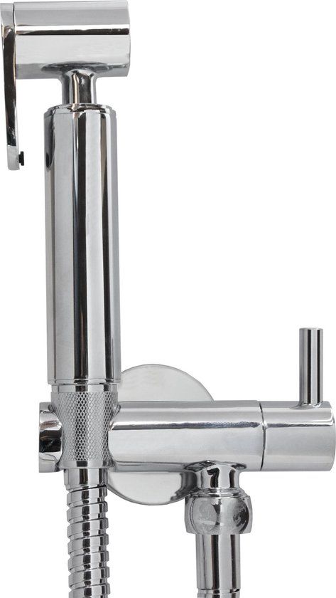 Wiesbaden Caral Bidet Handdoucheset Budget - Chroom